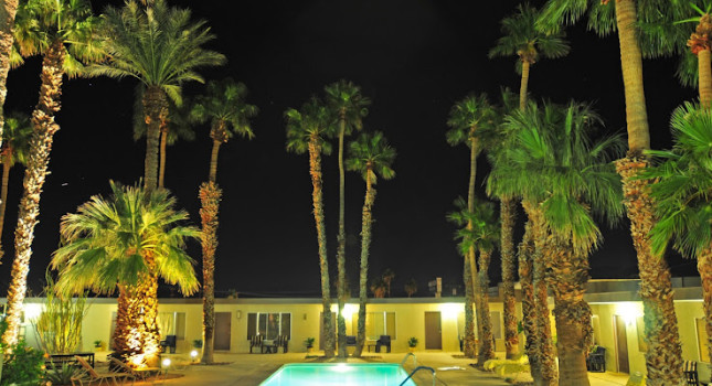 Pool and Trees at night
